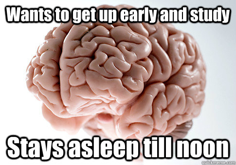 Wants to get up early and study Stays asleep till noon  Scumbag Brain