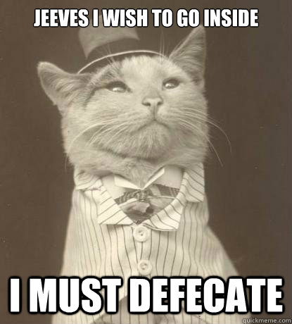 Jeeves I wish to go inside I must defecate - Jeeves I wish to go inside I must defecate  Aristocat