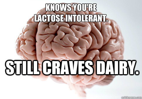 KNOWS YOU'RE 
LACTOSE INTOLERANT. STILL CRAVES DAIRY.  - KNOWS YOU'RE 
LACTOSE INTOLERANT. STILL CRAVES DAIRY.   Scumbag Brain
