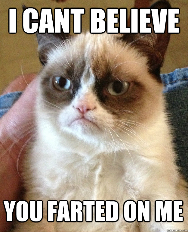 I CANT BELIEVE  YOU FARTED ON ME - I CANT BELIEVE  YOU FARTED ON ME  Misc