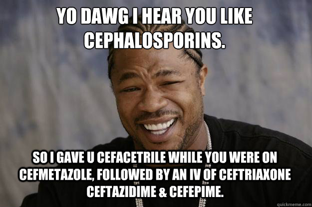 YO DAWG I HEAR YOU like cephalosporins. so I gave u cefacetrile while you were on cefmetazole, followed by an IV of ceftriaxone ceftazidime & cefepime.  - YO DAWG I HEAR YOU like cephalosporins. so I gave u cefacetrile while you were on cefmetazole, followed by an IV of ceftriaxone ceftazidime & cefepime.   Xzibit meme