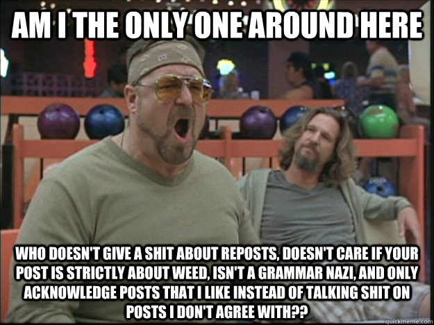 am i the only one around here who doesn't give a shit about reposts, doesn't care if your post is strictly about weed, isn't a grammar nazi, and only acknowledge posts that i like instead of talking shit on posts i don't agree with??  