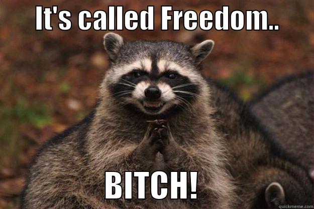       IT'S CALLED FREEDOM..                         BITCH!                   Evil Plotting Raccoon