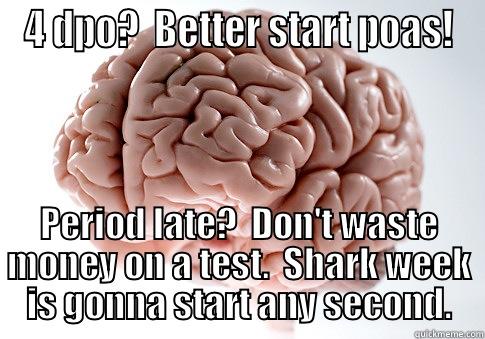 4 DPO?  BETTER START POAS! PERIOD LATE?  DON'T WASTE MONEY ON A TEST.  SHARK WEEK IS GONNA START ANY SECOND. Scumbag Brain