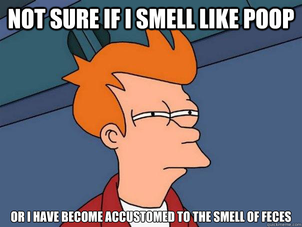 Not sure if I smell like poop Or I have become accustomed to the smell of feces  Futurama Fry