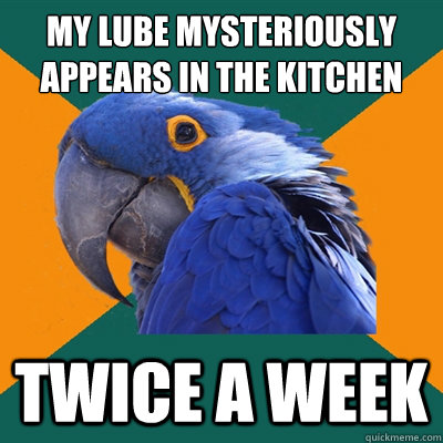my lube mysteriously appears in the kitchen twice a week  Paranoid Parrot