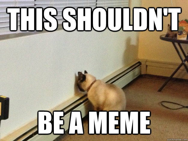 THIS SHOULDN'T  be a meme - THIS SHOULDN'T  be a meme  Regretful Cat
