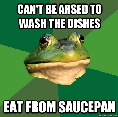 Can't be arsed to wash the dishes eat from saucepan - Can't be arsed to wash the dishes eat from saucepan  Foul Bachelor Frog