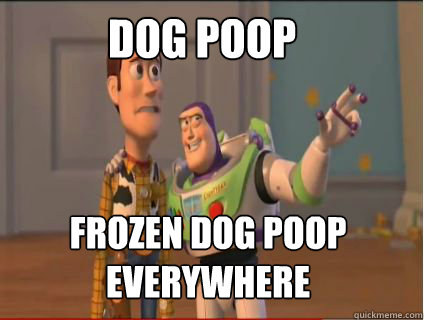 dog poop frozen dog poop everywhere  woody and buzz