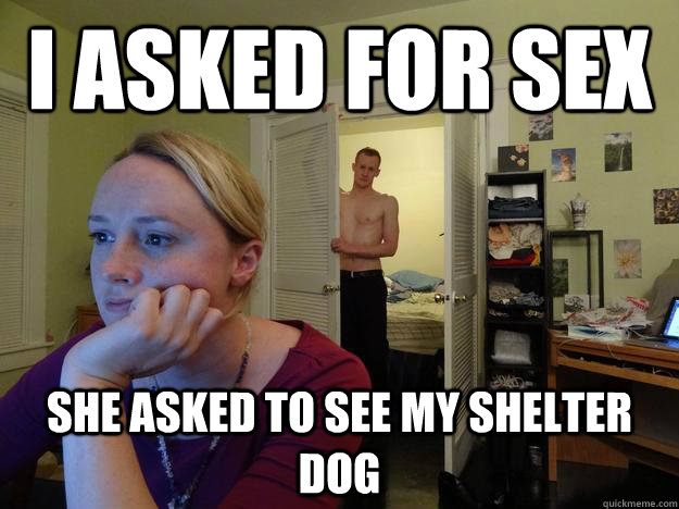 I asked for sex She asked to see my shelter dog - I asked for sex She asked to see my shelter dog  Redditors Husband
