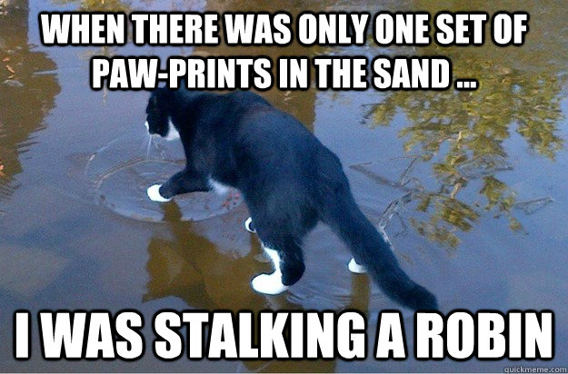 when there was only one set of paw-prints in the sand ... i was stalking a robin - when there was only one set of paw-prints in the sand ... i was stalking a robin  Jesus Cat
