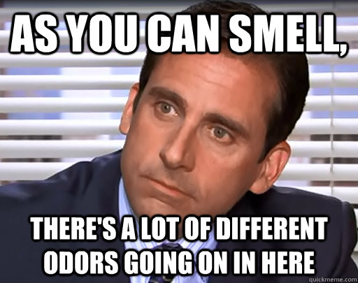 As you can smell, there's a lot of different odors going on in here - As you can smell, there's a lot of different odors going on in here  Idiot Michael Scott