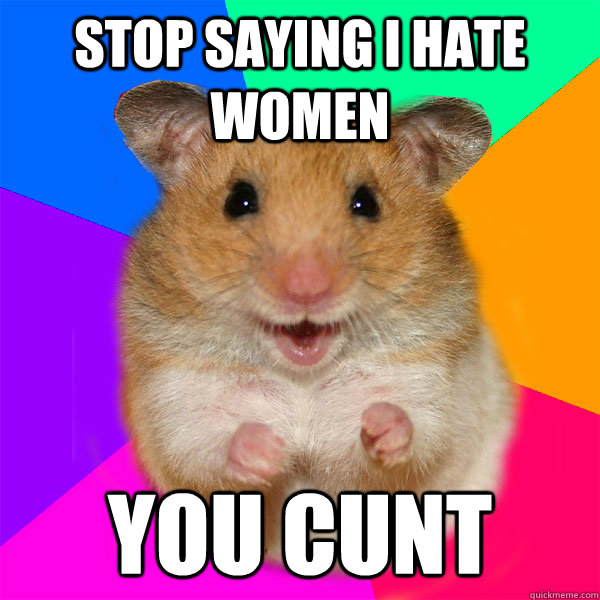 Stop Saying I Hate women You cunt - Stop Saying I Hate women You cunt  Bargain Hunting Hamster