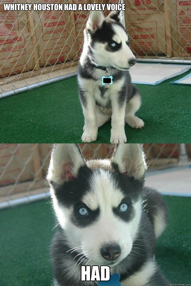 Whitney Houston had a lovely voice HAD  Insanity puppy