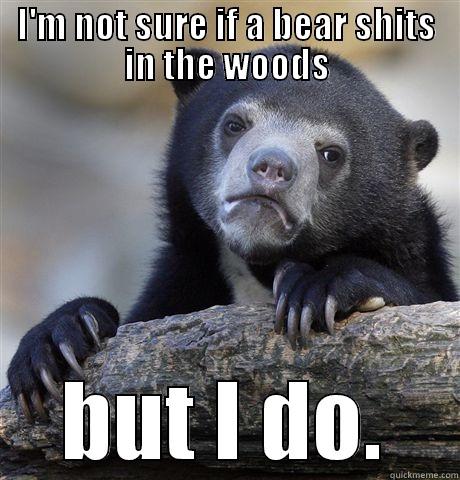 I'M NOT SURE IF A BEAR SHITS IN THE WOODS BUT I DO. Confession Bear