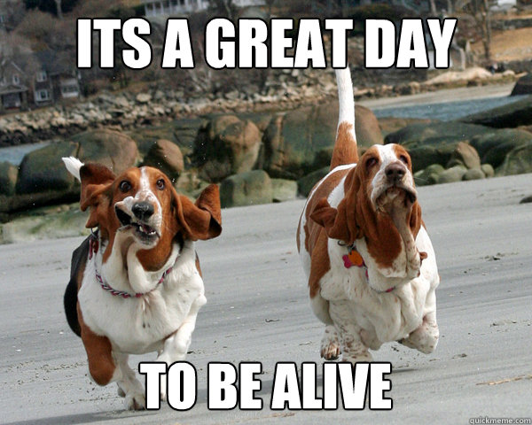 Its a great day to be alive - Its a great day to be alive  Misc