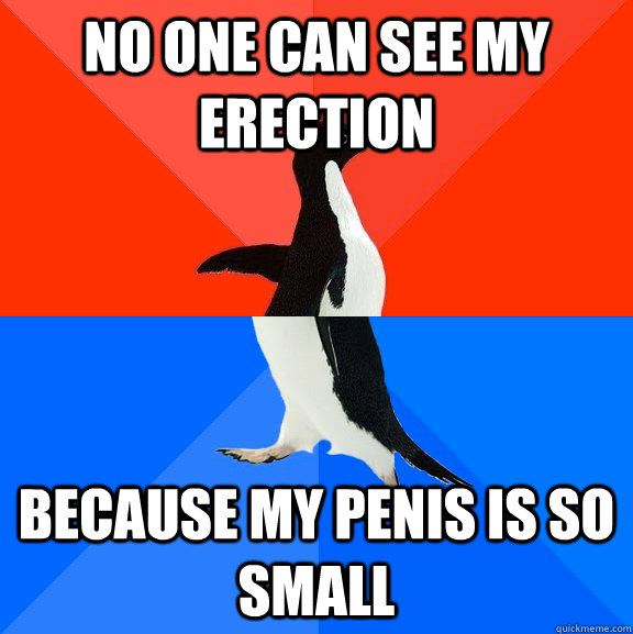 No one can see my erection Because my penis is so small  Socially Awesome Awkward Penguin