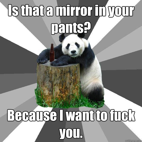 Is that a mirror in your pants? Because I want to fuck you.  Pickup-Line Panda