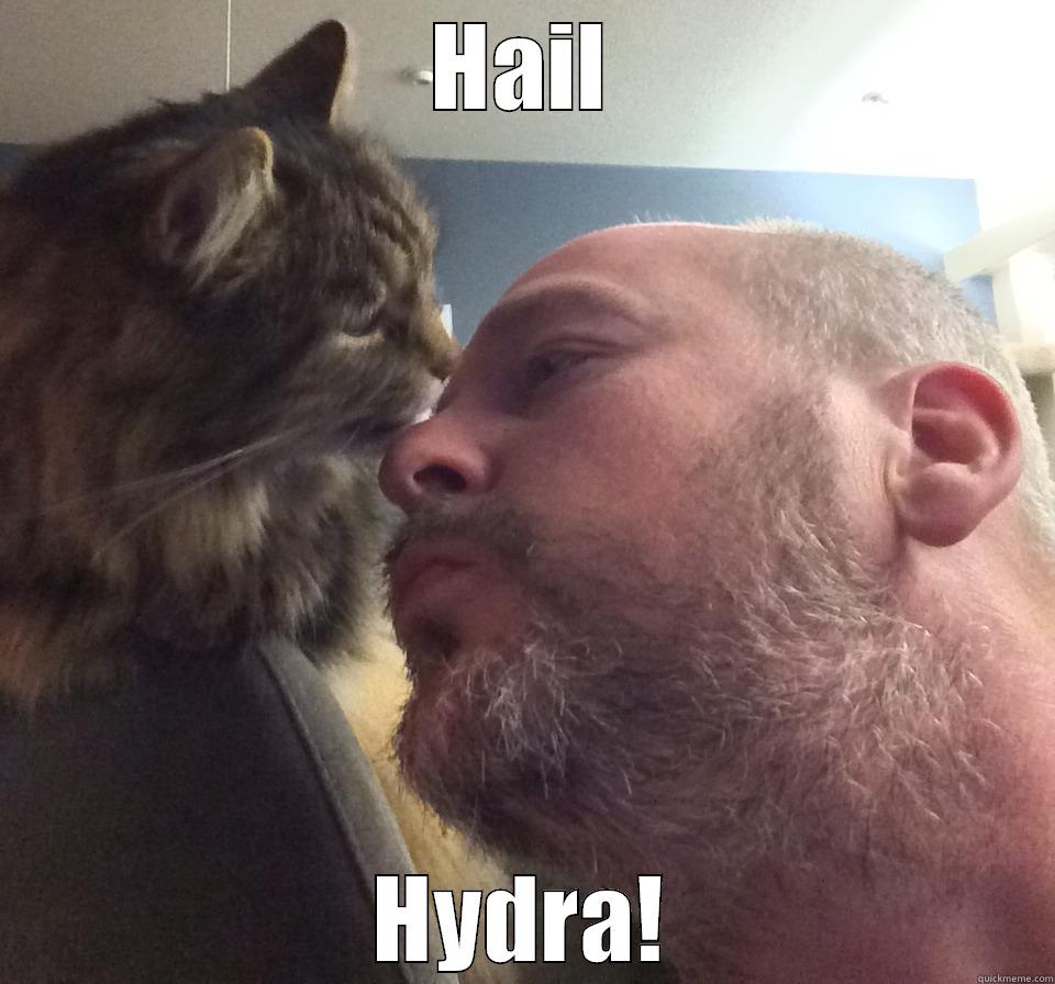 HAIL HYDRA! Misc