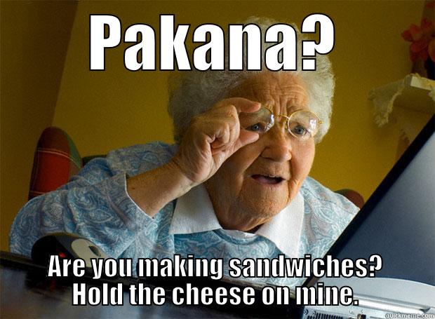 PAKANA? ARE YOU MAKING SANDWICHES? HOLD THE CHEESE ON MINE. Grandma finds the Internet