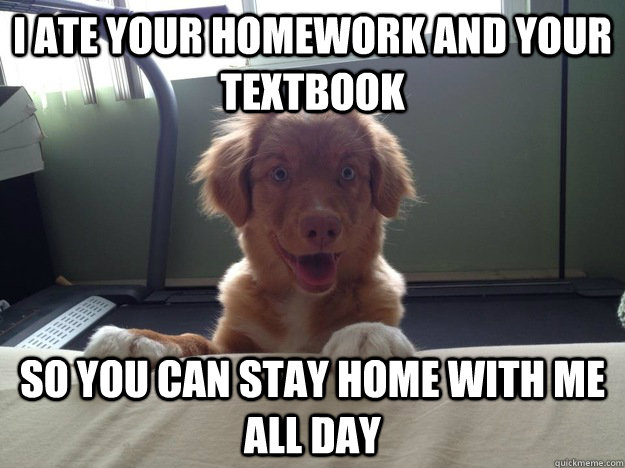 i ate your homework and your textbook so you can stay home with me all day - i ate your homework and your textbook so you can stay home with me all day  Overly Attached Dog