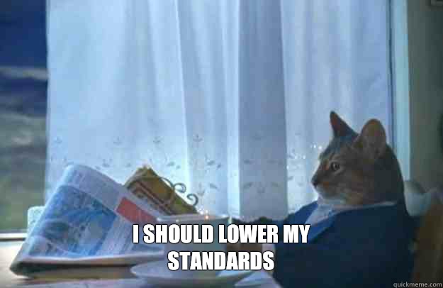 I SHOULD LOWER MY STANDARDS  Sophisticated Cat