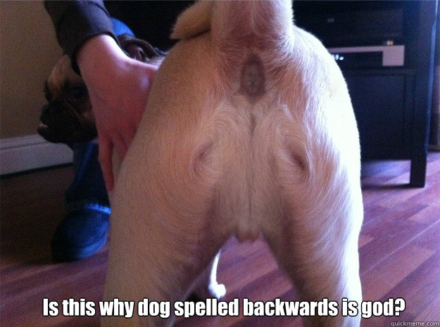  Is this why dog spelled backwards is god?  Jesus Butt Dog