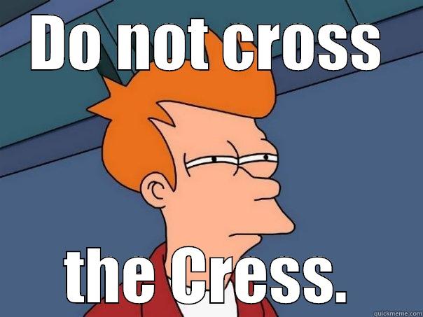 DO NOT CROSS THE CRESS. Futurama Fry