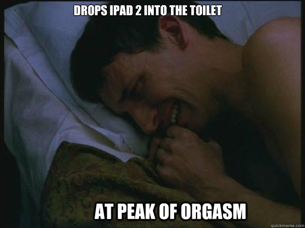 Drops iPad 2 into the toilet at peak of orgasm  