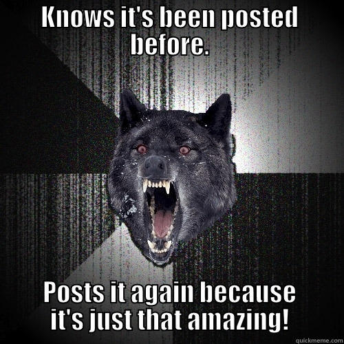 KNOWS IT'S BEEN POSTED BEFORE. POSTS IT AGAIN BECAUSE IT'S JUST THAT AMAZING! Insanity Wolf