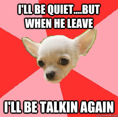 I'll be quiet....but when he leave I'll be talkin again - I'll be quiet....but when he leave I'll be talkin again  Pushover Chihuahua