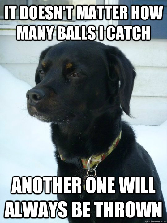 it doesn't matter how many balls i catch another one will always be thrown  Philosophical Puppy