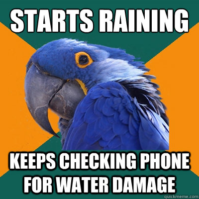 Starts Raining Keeps checking phone for water damage   Paranoid Parrot