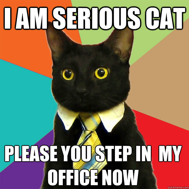 i am serious cat please you step in  my
office now - i am serious cat please you step in  my
office now  Business Cat