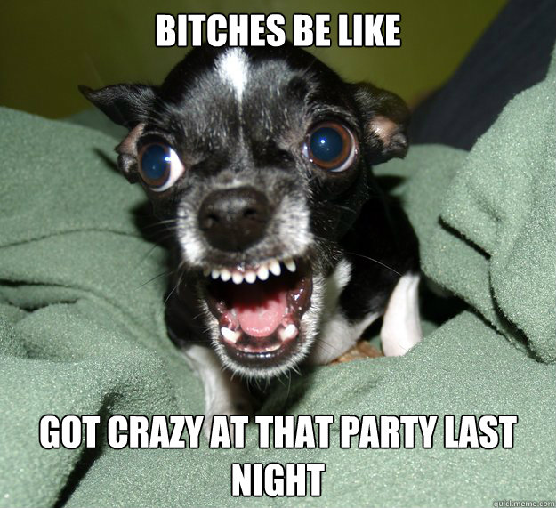 Bitches Be Like Got Crazy AT THAT PARTY LAST NIGHT - Bitches Be Like Got Crazy AT THAT PARTY LAST NIGHT  Chihuahua Logic