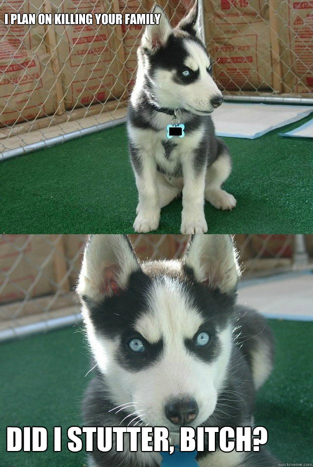 I plan on killing your family did i stutter, bitch?   Insanity puppy