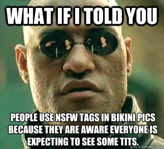 What if I told you People use NSFW tags in bikini pics because they are aware everyone is expecting to see some tits.  What if I told you