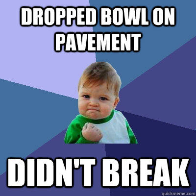 Dropped bowl on pavement Didn't break  