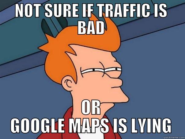 NOT SURE IF TRAFFIC IS BAD OR GOOGLE MAPS IS LYING Futurama Fry