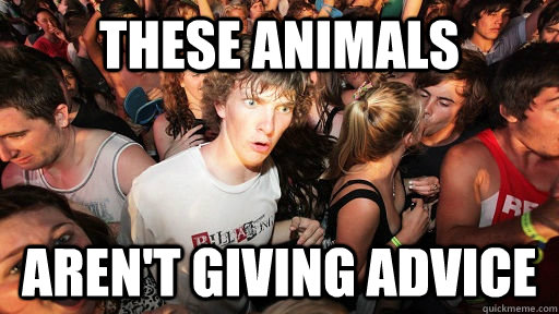 these animals aren't giving advice  Sudden Clarity Clarence