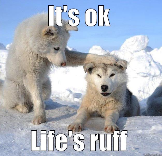 IT'S OK LIFE'S RUFF Caring Husky