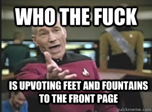 Who the fuck is upvoting feet and fountains to the front page  Annoyed Picard