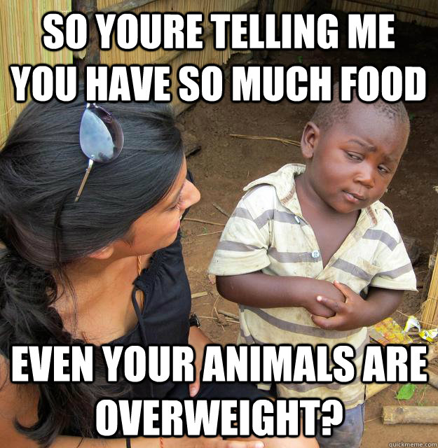 So youre telling me you have so much food even your animals are overweight?  Skeptical Third World Child