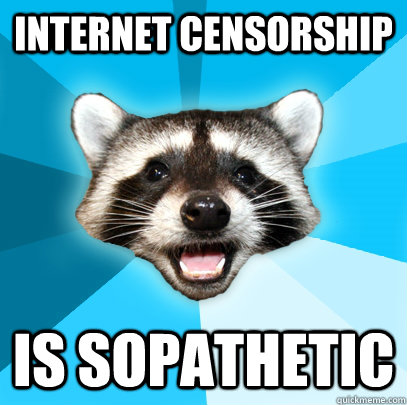 INTERNET CENSORSHIP IS SOPATHETIC  Lame Pun Coon