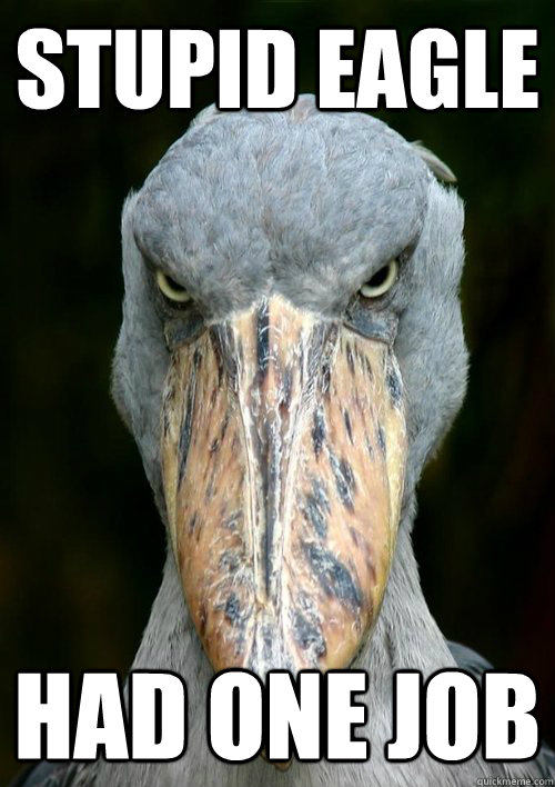 stupid eagle had one job  