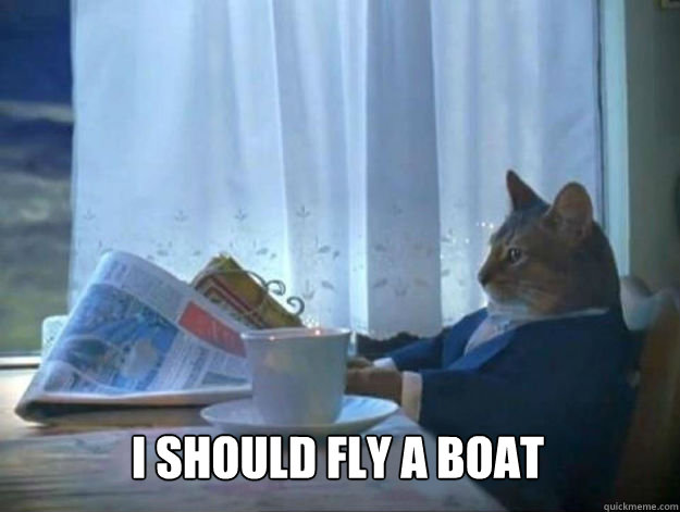  I should fly a boat -  I should fly a boat  Average Dad Cat