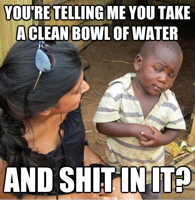 You're telling me you take a clean bowl of water and shit in it?  Skeptical Third World Kid