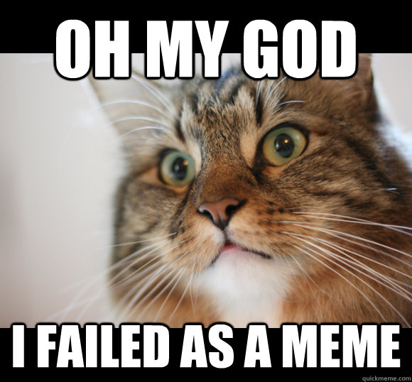 oh my god i failed as a meme  Sudden Clarity Cat