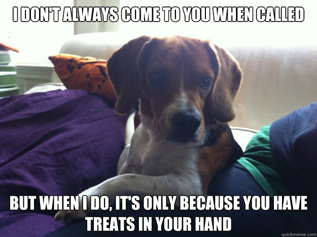 I don't always come to you when called But when I do, it's only because you have treats in your hand - I don't always come to you when called But when I do, it's only because you have treats in your hand  The Most Interesting Beagle In The World