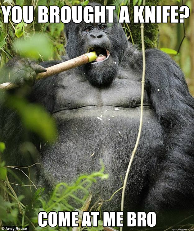 You brought a knife? Come at me bro  Drunk Confidence Gorilla